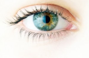 Close-up of beautiful woman face. On white background